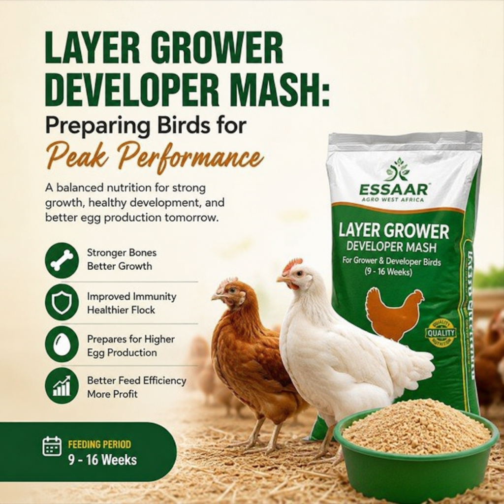 LAYER GROWER DEVELOPER MASH:
Preparing Birds for Peak Performance