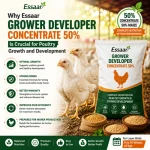 Healthy growing layer birds with Essaar Grower Developer Concentrate 50%, supporting strong growth, immunity, feed efficiency, and future laying performance.