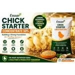 Healthy poultry chicks receiving proper nutrition during their first weeks of life for stronger growth and future productivity.