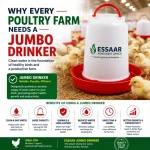 Essaar Jumbo Drinker in a poultry farm providing clean and safe water to chicks for better growth and productivity.