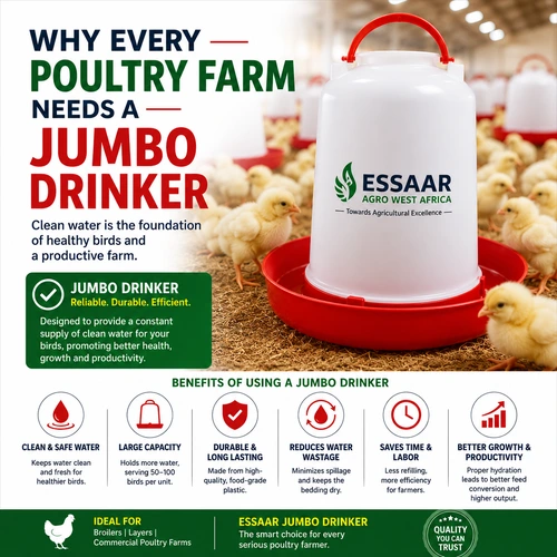 Essaar Jumbo Drinker in a poultry farm providing clean and safe water to chicks for better growth and productivity.