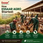 African farmers working in a poultry farm showcasing Essaar Agro's mission to empower farmers in West Africa