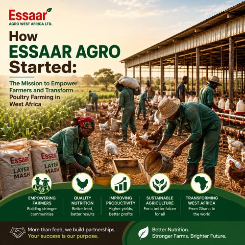 African farmers working in a poultry farm showcasing Essaar Agro's mission to empower farmers in West Africa