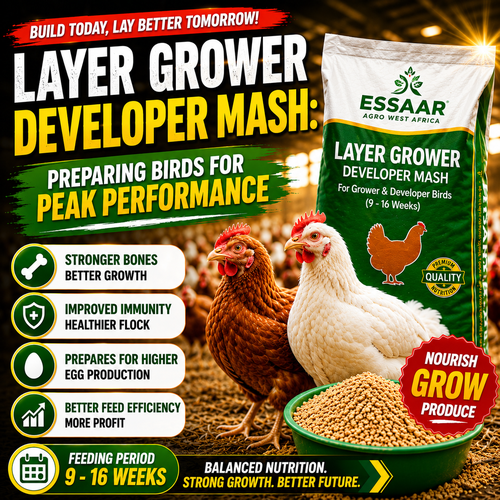 Layer Grower Developer Mash poultry feed with healthy layer chickens and grower feed.